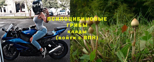 винт Алексин