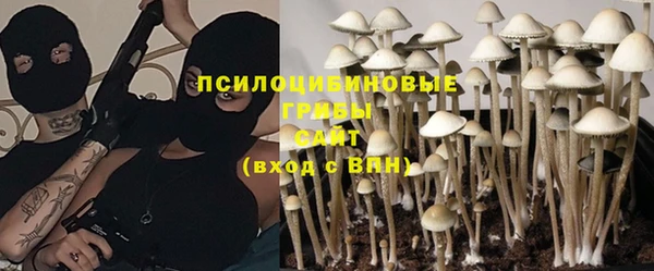 винт Алексин