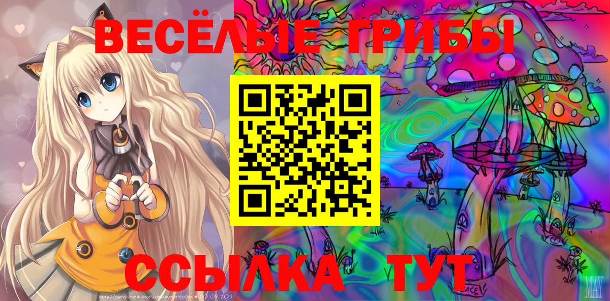 Псилоцибиновые грибы GOLDEN TEACHER Ишим